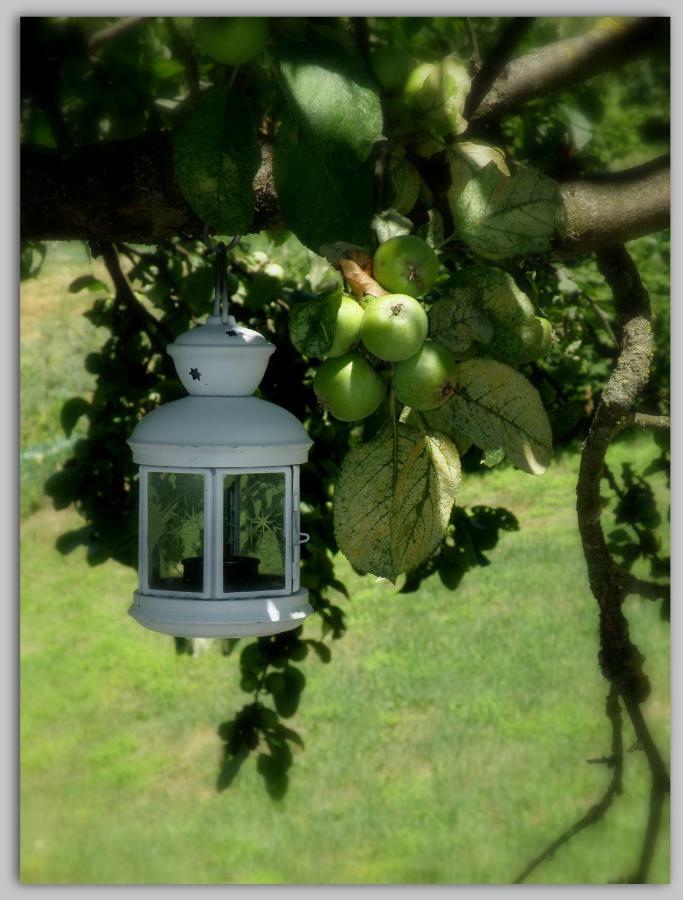 Cascina Luvot Bed and Breakfast Melazzo Εξωτερικό φωτογραφία
