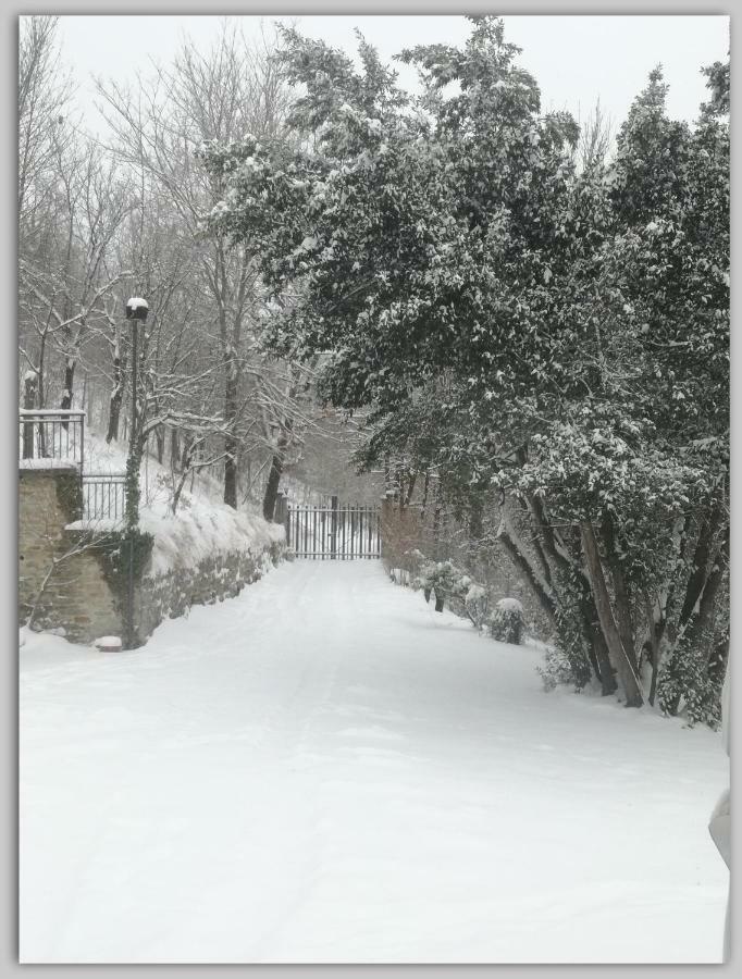 Cascina Luvot Bed and Breakfast Melazzo Εξωτερικό φωτογραφία